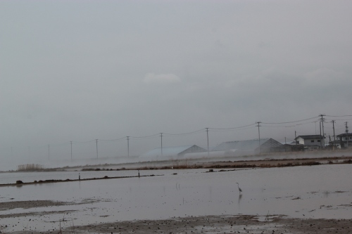 水没した小高の農地（2012年4月25日撮影）