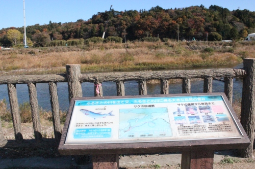 木戸川河畔のプレート（2013年11月23日）